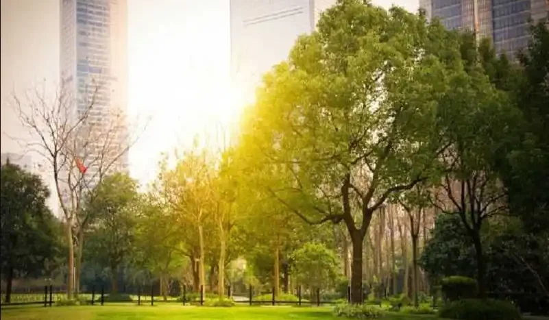 Compound Sky Capital