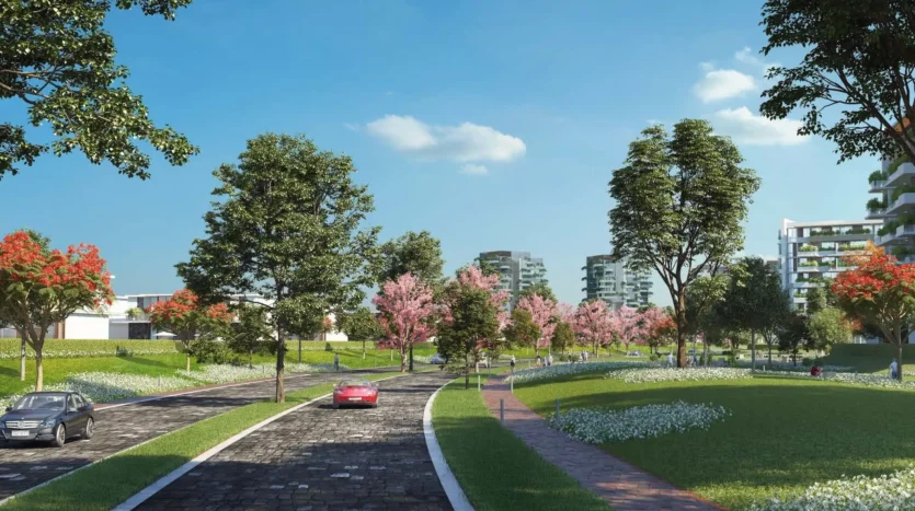 Meadows il bosco Project