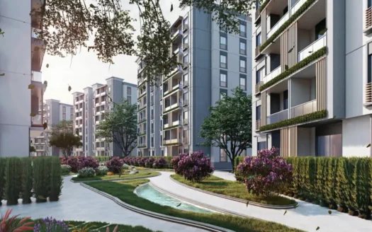 Oro Compound New Capital