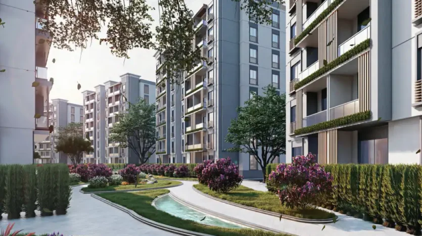 Oro Compound New Capital